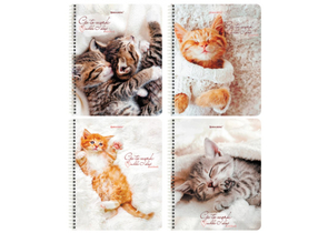 Тетрадь общая А5, 96 л. на гребне Brauberg «Котики», 165×205 мм, клетка, ассорти