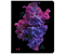 Тетрадь предметная А5, 48 л. на скобе Pigment, 165*205 мм, линия, «Литература» Тетрадь предметная А5, 48 л. на скобе Pigment, 165*205 мм, линия, «Литература»