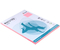 Бумага офисная цветная Maestro (формат А4 в упаковке по 100 листов), А4 (210*297 мм), 80 г/м2, 100 л., розовый неон