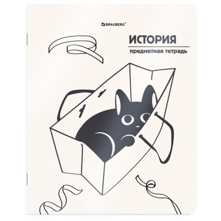 Тетрадь предметная А5, 48 л. на скобе «Кот-непоседа», 165*205 мм, клетка, «История» Тетрадь предметная А5, 48 л. на скобе «Кот-непоседа», 165*205 мм, клетка, «История»
