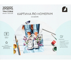 Картина по номерам на холсте «Три совы», 30×40 см, «Ромашки в кедах»
