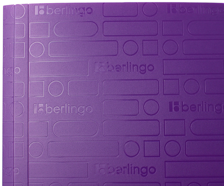 Папка пластиковая на резинке Berlingo Your Way, толщина пластика 0,6 мм, фиолетовая