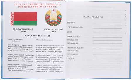 Дневник школьный «Брестская Типография», 44 л., для 5-11 классов (на русском языке), «вид 1 - для мальчика»