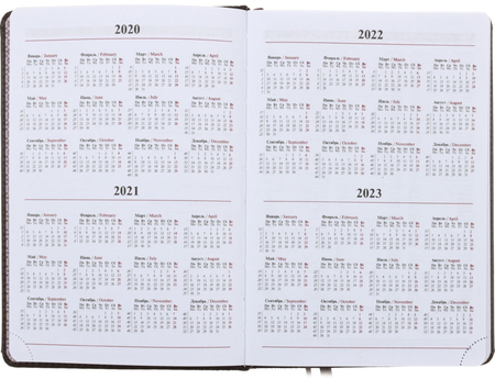 Ежедневник датированный на 2020 год Advance Premium, 140*210 мм, 176 л., коричневый