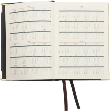Ежедневник датированный на 2024 год Delucci (А6), 115*160 мм, 184 л., черный