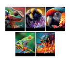 Тетрадь общая А5, 48 л. на скобе BG «Смотри», 165×202 мм, клетка, ассорти