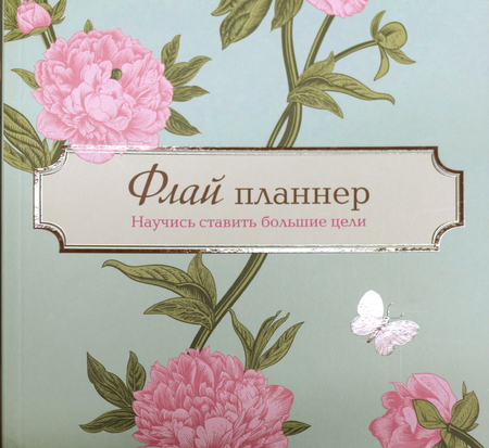 Ежедневник недатированный «Флай-планнер», 165*210 мм, 96 л., линия, «Научись ставить большие цели»