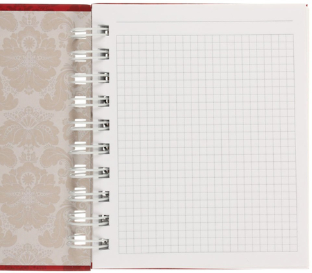 Книжка записная «Канц-Эксмо», 120*150 мм, 180 л., клетка, «Вокруг света. Прекрасная Венеция»