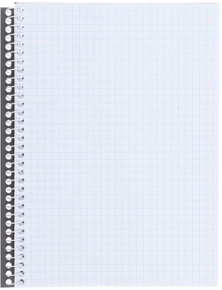 Книжка записная на спирали Economix, 145*200 мм, 80 л., клетка, ассорти (цена за 1 шт.)