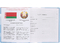 Дневник школьный «Брестская Типография», 44 л., для 5-11 классов (на русском языке), «вид 1 - для мальчика»