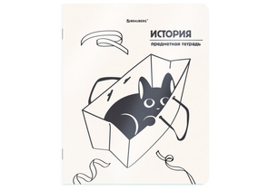 Тетрадь предметная А5, 48 л. на скобе «Кот-непоседа», 165×205 мм, клетка, «История» Тетрадь предметная А5, 48 л. на скобе «Кот-непоседа», 165×205 мм, клетка, «История»