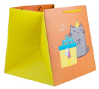 Пакет бумажный ламинированный Sima-Land, 30×30×30 см, «Котик и тортик» Пакет бумажный ламинированный Sima-Land, 30×30×30 см, «Котик и тортик»