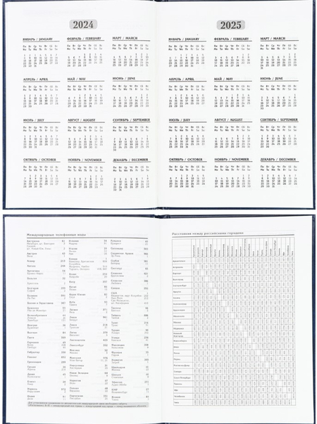 Ежедневник недатированный Prof-Press А6, 110*148 мм, 96 л., синий Ежедневник недатированный Prof-Press А6, 110*148 мм, 96 л., синий