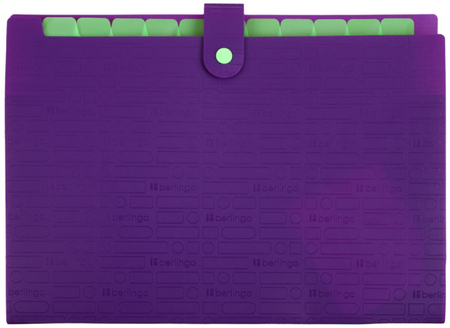 Папка пластиковая объемная 12 отделений Berlingo Your Way, толщина пластика 0,6 мм, фиолетовая