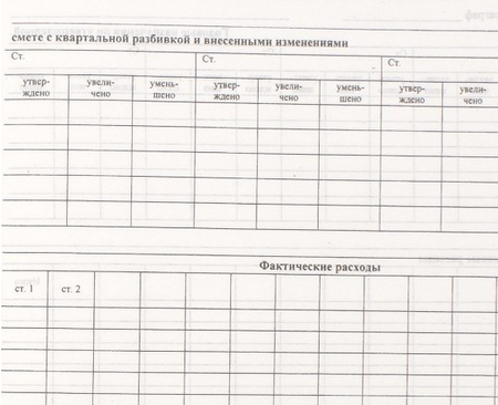 Книга учета ассигнований и фактических расходов, 205*293 мм, 50 л.