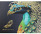 Тетрадь общая А5, 48 л. на скобе BG Golden Fantasy, 162*205 мм, клетка, ассорти