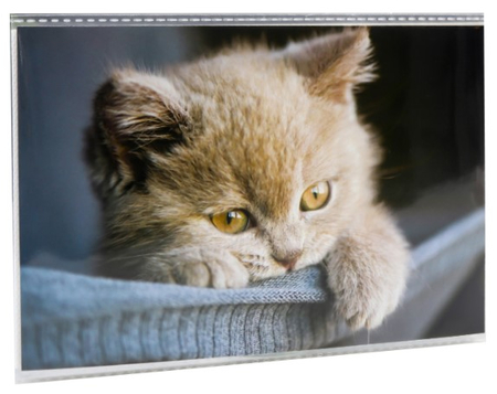 Фотоальбом «Котейка», 10*15 см, 36 фото
