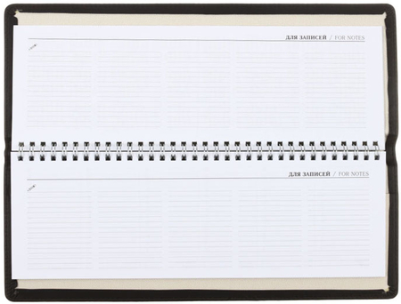 Планинг недатированный со скрытым гребнем Silver Classic