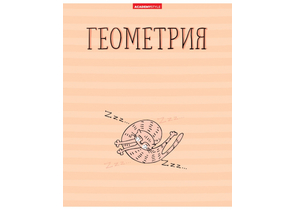 Тетрадь предметная А5, 48 л. на скобе «Жиза кота», 162×202 мм, клетка, «Геометрия»