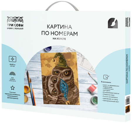 Картина по номерам на холсте «Три совы», 40*50 см, «Сонные совы» Картина по номерам на холсте «Три совы», 40*50 см, «Сонные совы»