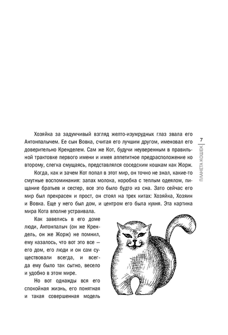Книга Виктор Логинов «Планета кошек», 170*240 мм, 104 л., твердый переплет