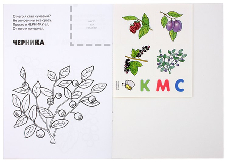 Книжка-раскраска с наклейками «Мозаика Синтез», 170*240 мм, 4 л., «Ягоды»