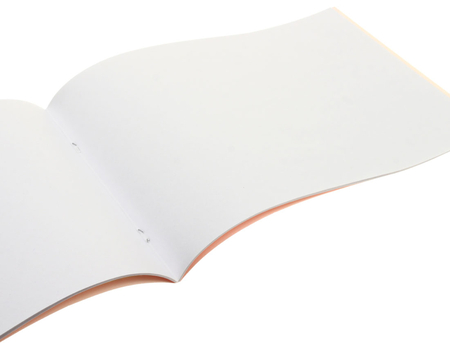 Альбом для рисования А4 «Канц-Эксмо», 20 л., «Маша и медведь»