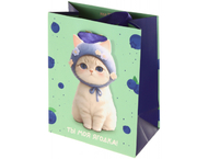 Пакет подарочный Meshu