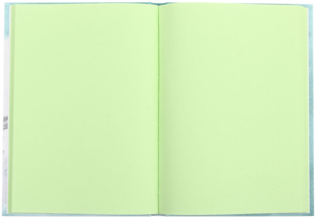 Скетчбук-блокнот BG А5 (цветной блок), 150*210 мм, 80 л., «Твой кот», салатовый блок