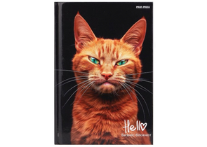 Книжка записная «Бизнес-блокнот. Рыжий котик-1», 110×148 мм, 80 л., клетка
