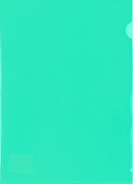 Папка-уголок пластиковая Lite А4, толщина пластика 0,10 мм, зеленая