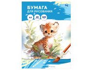 Папка для рисования BG Папка для рисования BG