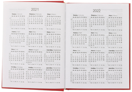 Ежедневник датированный на 2021 год On-Line, 110*145 мм, 176 л., «Красное пламя»