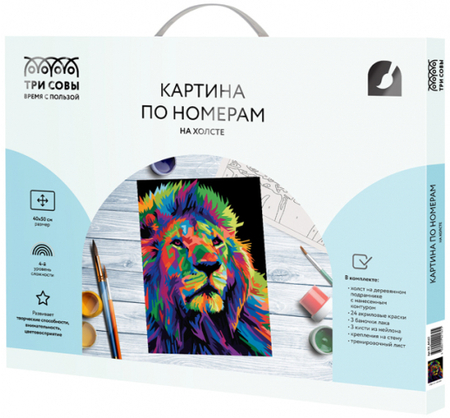 Картина по номерам на холсте «Три совы», 40*50 см, «Яркие краски»
