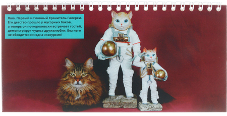 Календарь настольный перекидной на 2023 год «Домик. Котовасия», 210*135 мм