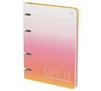Тетрадь общая А5, 120 л. на кольцах BG, 160×210 мм, клетка, Life Is