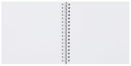 Скетчбук на гребне Meshu, 150*150 мм, 60 л., Avocadreams