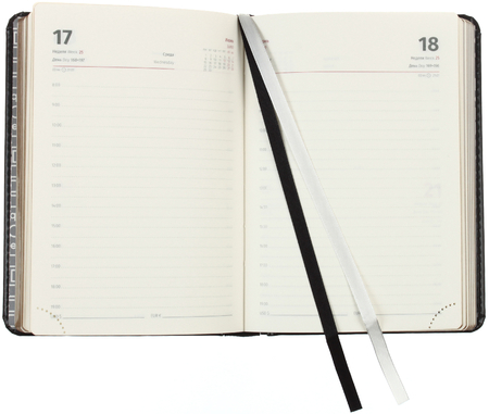 Ежедневник датированный на 2026 год Berlingo Silver Pristine (А6), 110*160 мм, 184 л., черный