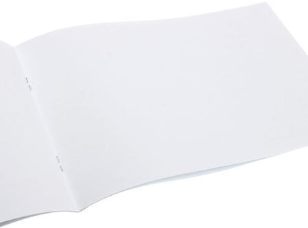 Альбом для рисования А4 «Полиграфкомбинат», 12 л., «Цмоки»