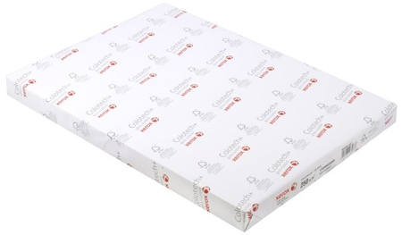 Бумага офисная Xerox Colotech+ Gloss coated, А3 (297*420 мм), 250 г/м2, 125 л.
