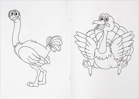 Книжка-раскраска «Птицы», 8 листов Книжка-раскраска «Птицы», 8 листов