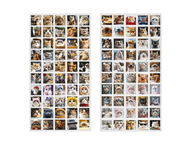 Набор наклеек ПВХ Meshu Набор наклеек ПВХ Meshu