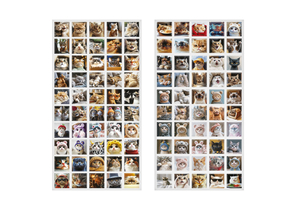 Набор наклеек ПВХ Meshu, 5×5 см, 100 шт., Cats, ассорти