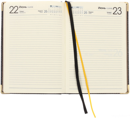 Ежедневник датированный на 2022 год Business Premium (А5), 145*210 мм, 176 л., Grand Croco, черный