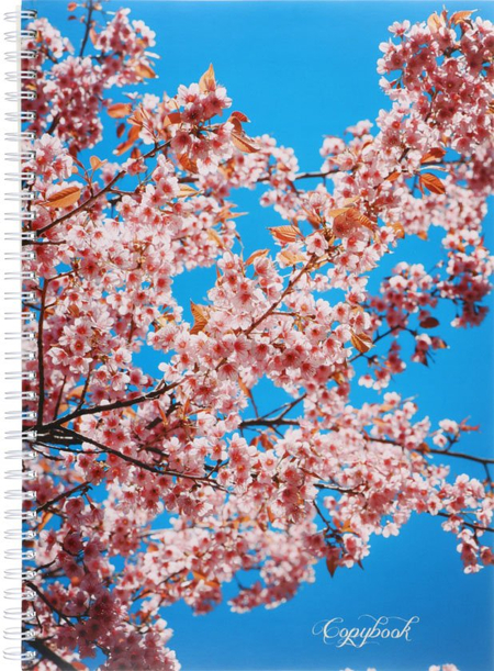 Тетрадь общая А4, 80 л. на гребне «Природа», 200*285 мм, клетка, «Пора цветения»