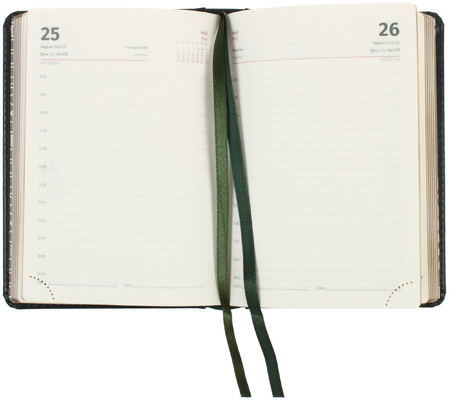 Ежедневник датированный на 2026 год Berlingo xGold (А6), 115*160 мм, 184 л., зеленый