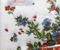 Салфетки сервировочные New Line Fresco, 33*33 см, 20 шт., «Садовые розы»