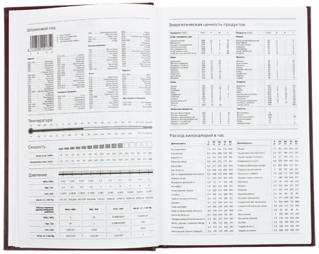 Ежедневник датированный на 2026 год BG, 135*205 мм, 168 л., бордовый