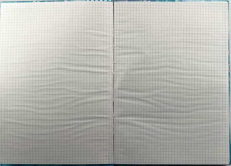 Книга учета «Типография «Победа», 210*297 мм, 100 л., клетка, голубая