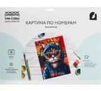 Картина по номерам на картоне «Три совы», 30×40 см, «Кот в худи» Картина по номерам на картоне «Три совы», 30×40 см, «Кот в худи»